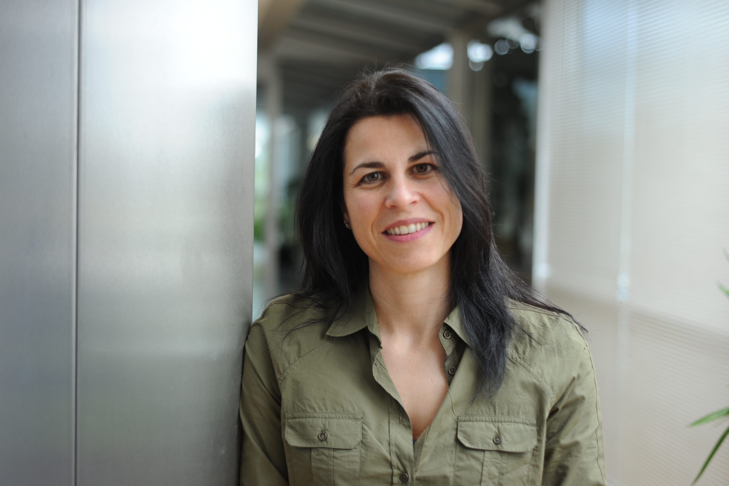 Inicio 140227holmenb204